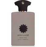 Amouage Opus XIV Royal Tobacco parfémovaná voda unisex 100 ml