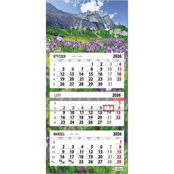 Kalendář Kalendarz 2026 trójdzielny płaska główka Krokusy