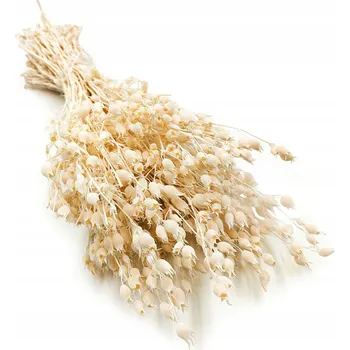 umělá květina Silenka nadmutá - (Silene) - Bělená