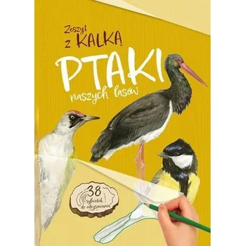 Ptaki naszych lasów. Zeszyt z kalką - Katarzyna Kopiec-Sekieta [PL] (2025, Brožovaná, Multico)