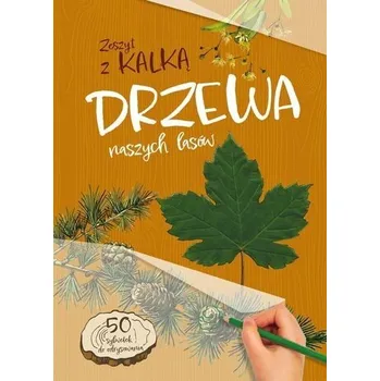 Drzewa naszych lasów. zeszyt z kalką - Andżelika Bielańska