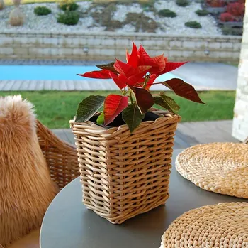 Květináč RATANOVÝ Květináč&nbsp;DRYPOT, Grey, Pillar (Van der Leeden®)