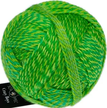 Příze Schoppel Wolle Crazy Boys 2707 Frank Walter (Vlněná příze Crazy Boys 2707 Frank Walter)