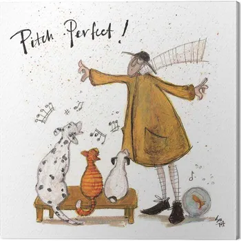 Obraz Obraz na plátně Sam Toft - Pitch Perfect