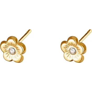 Náušnice POMNĚNKY náušnice z pozlacené chirurgické oceli