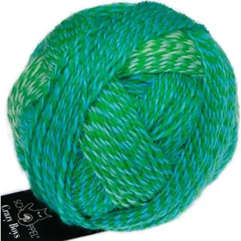 Příze Schoppel Wolle Crazy Boys 2708 Joachim (Vlněná příze Crazy Boys 2708 Joachim)