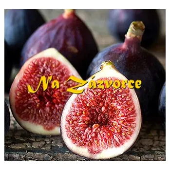 Sazenice Fíkovník smokvoň 'Peretta' (Ficus carica 'Peretta') MRAZUVZDORNÝ P9