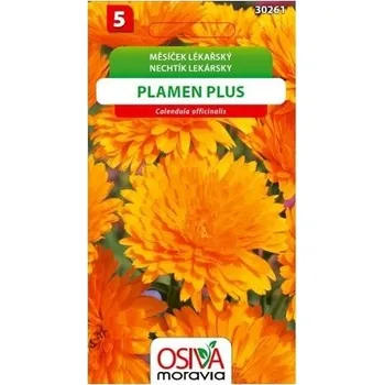 Semeno Měsíček lékařský PLAMEN PLUS