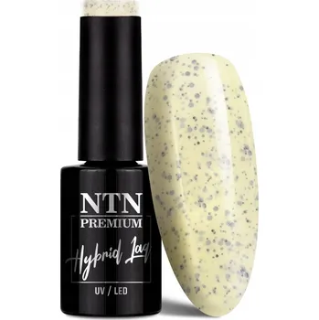 Lak na nehty Hybridní lak barevný lak Ntn 182 5 ml