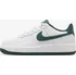 Chlapecké tenisky NIKE Air Force 1 FV5948-110, 38,5