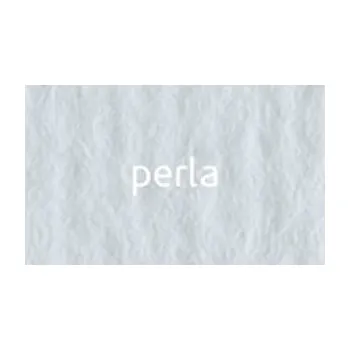 Umělecký papír Papír umělecký Perla Elle Erre Fabriano 70 x 100 cm 220g/m²