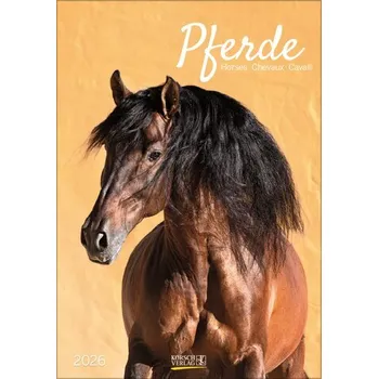 Pferde 2026 - Korsch Verlag