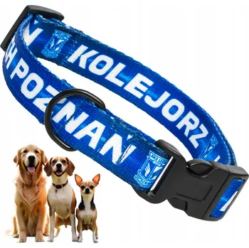 Obojek pro psa Pevný obojek pro psa Lech Poznaň Originální, nastavitelný, velikost M, klubová licence