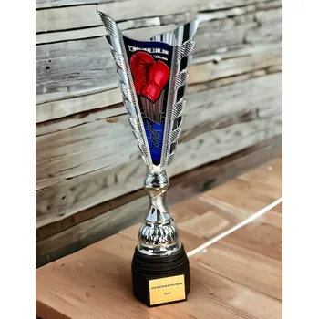 Poháry Bauer Sportovní pohár SL14 | Bojová umění