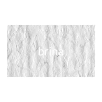 Výtvarný papír Papír umělecký Brina Elle Erre Fabriano 70 x 100 cm 220g/m²