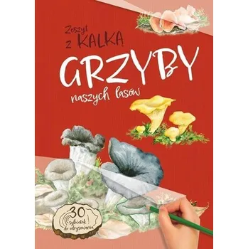 Bystrá hlava Grzyby Naszych Lasów. zeszyt z kalką - Katarzyna Kopiec-Sekieta