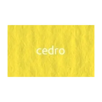 Umělecký papír Papír umělecký Cedro Elle Erre Fabriano 70 x 100 cm 220g/m²