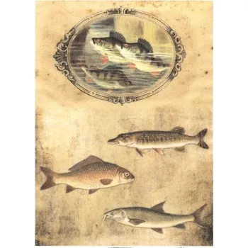 Umělecký papír Itd. Collection Rýžový papír Ryby A4