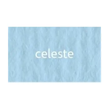 Umělecký papír Papír umělecký Celeste Elle Erre Fabriano 70x100 cm 220g/m²
