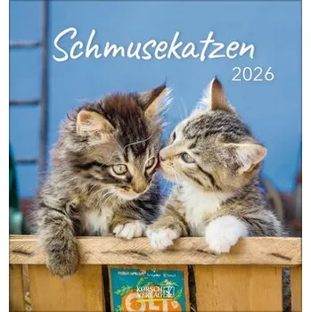 Schmusekatzen 2026 - Korsch Verlag