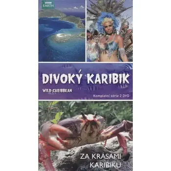 DVD film Divoký Karibik - DVD