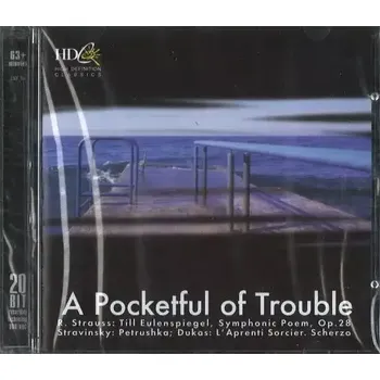 Česká hudba A pocketful of trouble - CD