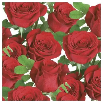Ubrousky MAKI L (20ks) Classic Red Roses