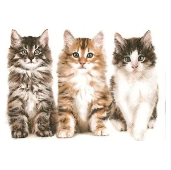 Papírový kapesník Ubrousky MAKI L (20ks) Three Beautiful Cats