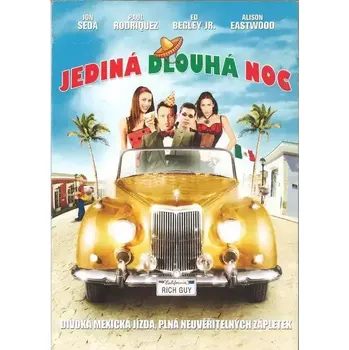 DVD film Jediná dlouhá noc - DVD pošetka