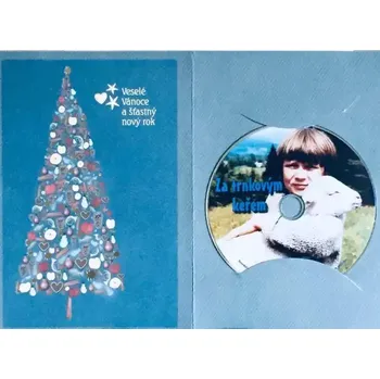 DVD film Za trnkovým keřem - DVD /dárkový obal/