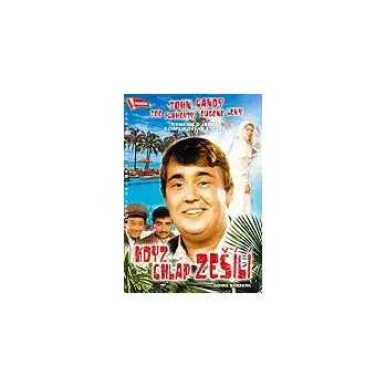 DVD film Když chlap zešílí ( pošetka ) DVD