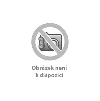 DVD film Pipi dlouhá punčocha 1/2 - ruská - DVD