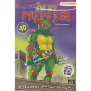 DVD film Želvy ninja 40 - VAPET ( plast ) DVD