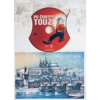 DVD film Po čem kluci touží - DVD /dárkový obal/