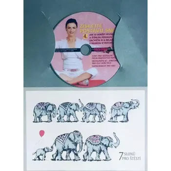 DVD film Získejte postavu snů 4. - DVD /dárkový obal/