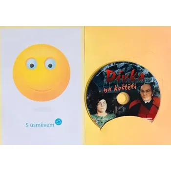 DVD film Dívka na koštěti - DVD /dárkový obal/