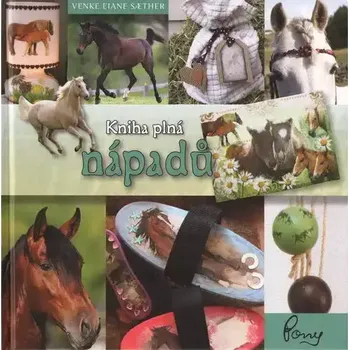 Pohádka Kniha plná nápadů - Venke Eiane Saether