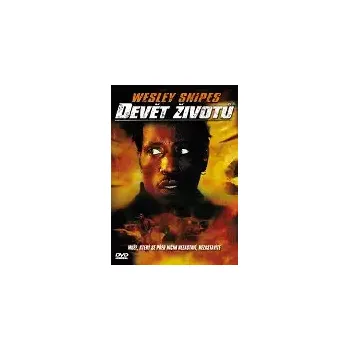 DVD film Devět životů - DVD plast