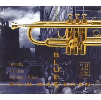 Česká hudba How Blues Was Born - CD