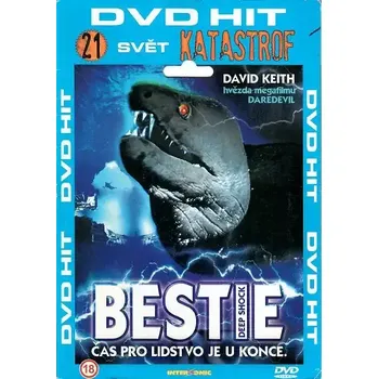 DVD film Bestie ( pošetka ) DVD