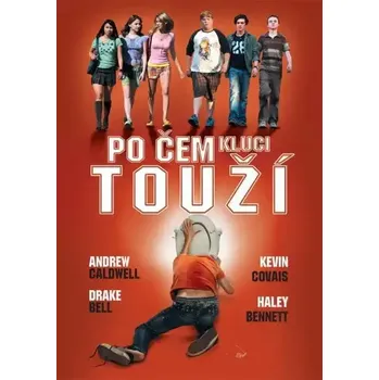 DVD film Po čem kluci touží - DVD