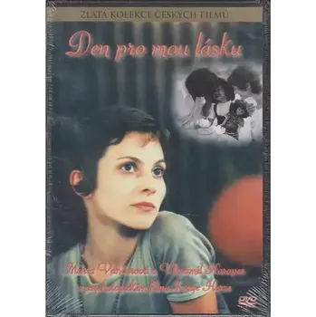 DVD film Den pro mou lásku - plast, slim DVD