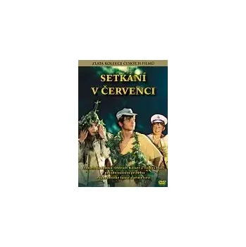 DVD film Setkání v červenci - DVD slim/plast