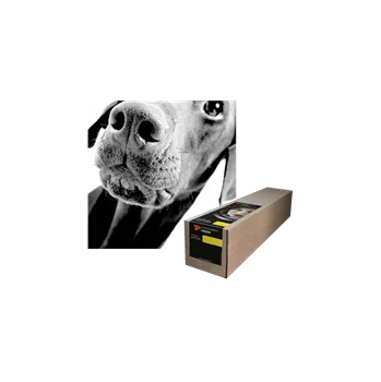 Fotopapír Tecco Photo PM230 Matt role 61,0 cm x 25 m (3") 230 g/m2 (24") - 5969610026