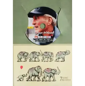 DVD film Nejsem blázen - DVD /dárkový obal/