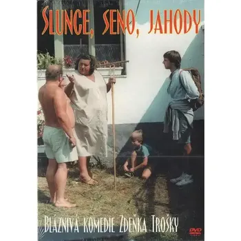 DVD film Slunce, seno, jahody ( pošetka ) - DVD