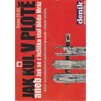 DVD film Jak kůl v plotě aneb jak se z Ježíška stal Děda Mráz - CD