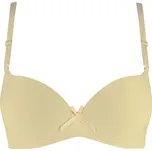 Iva podprsenka vyztužená hladká 5031 100D béžová