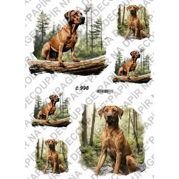 Umělecký papír Rýžový a soft papír na decoupage - Rhodesian Ridgeback - KB0998 Materiál: Soft, Rozměr: A4