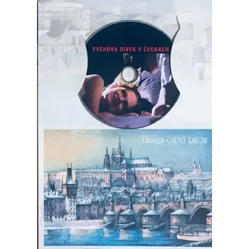 DVD film Výchova dívek v Čechách - DVD /dárkový obal/